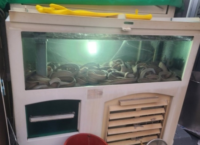 백반기행-통영-곰장어-삼수갑산