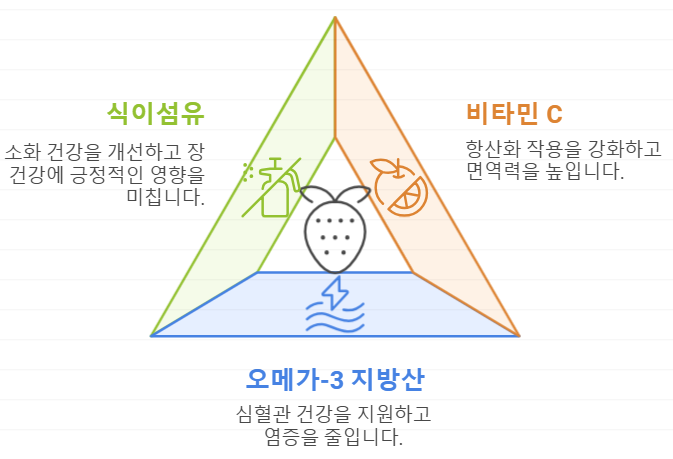 엘라직산 시너지 영양소
