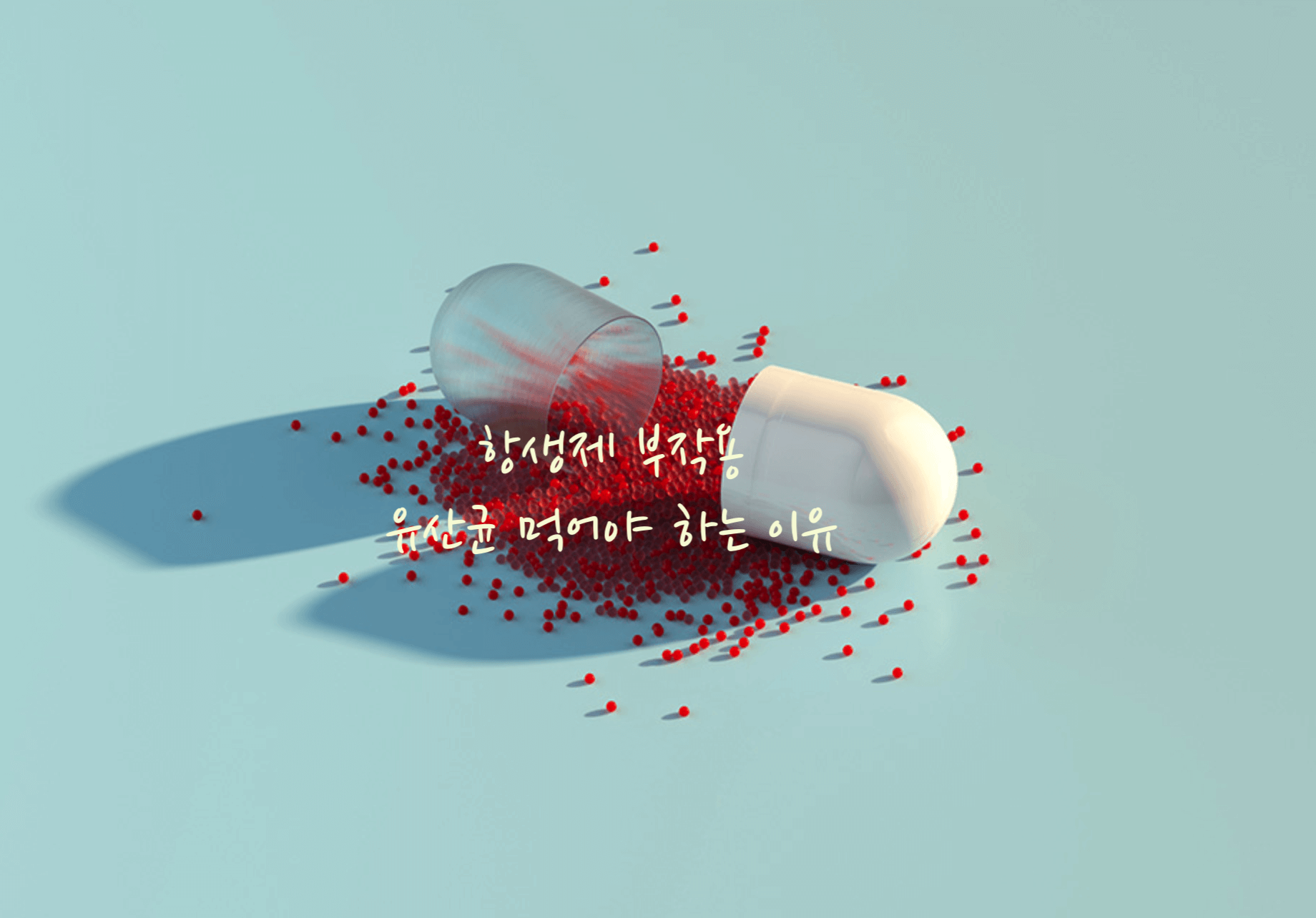 항생제 유산균