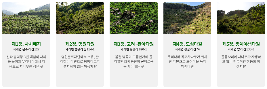 하동 세계차엑스포