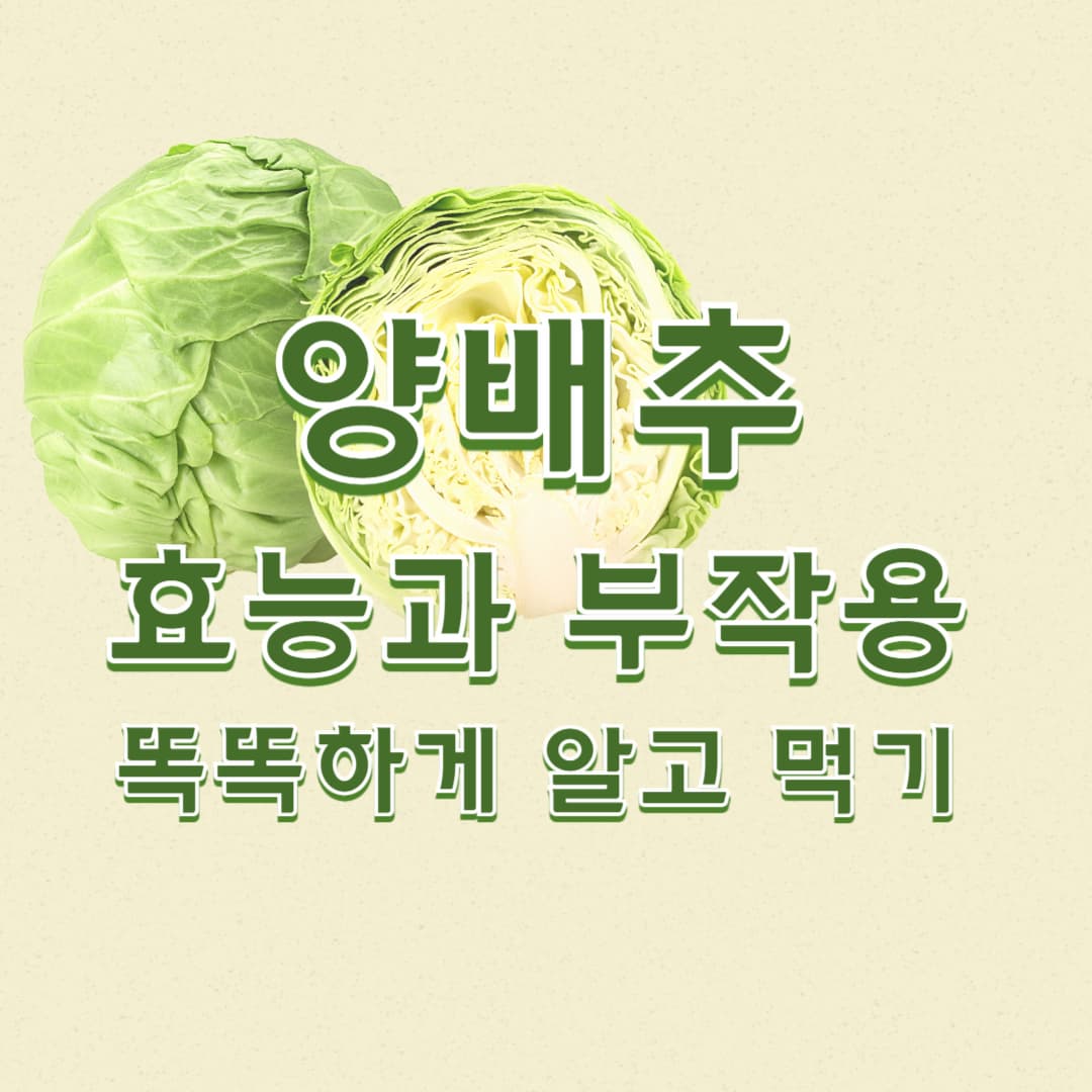 양배추 효능과 부작용