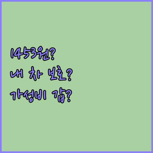 단돈 1,453원으로 내 차를 보호?