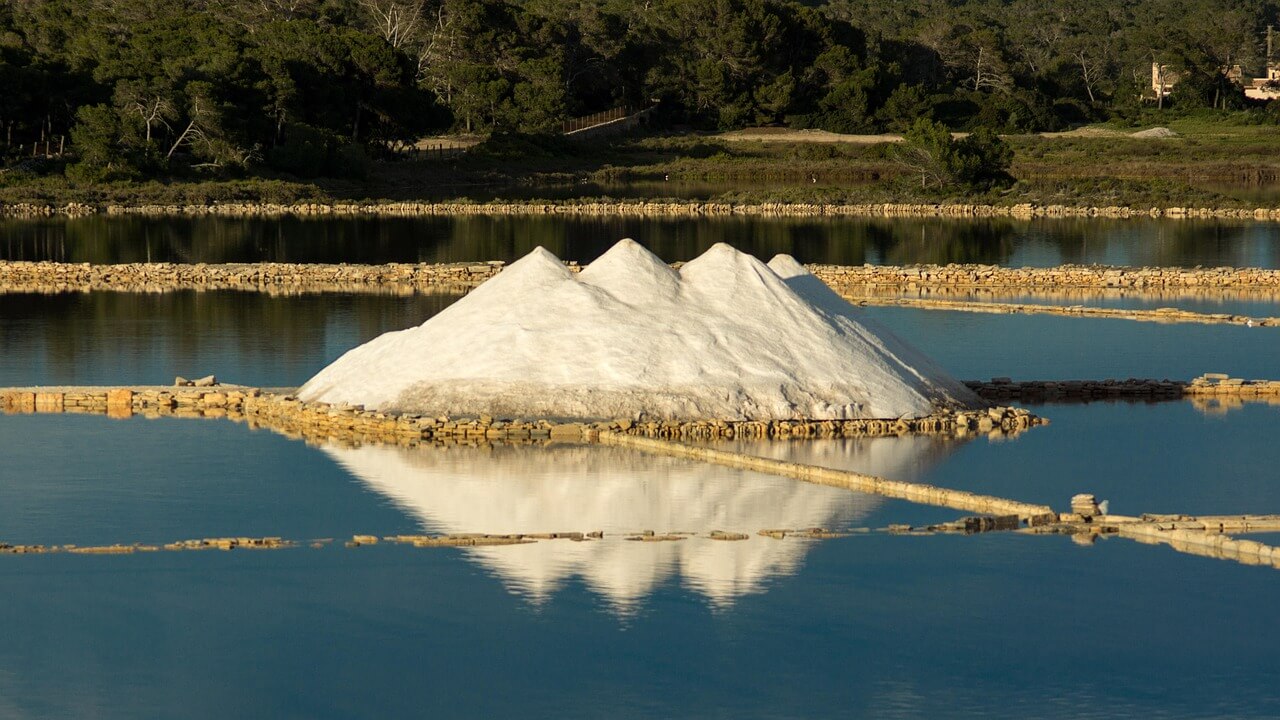 소금물 디톡스 효과