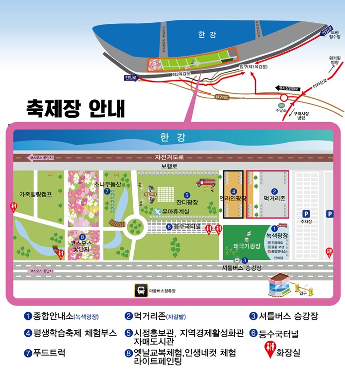 구리 코스모스축제 한강시민공원