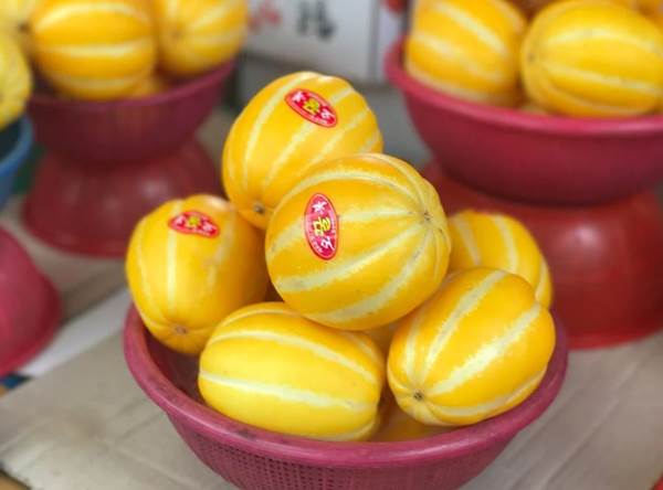 참외 효능 보관법 고르는법