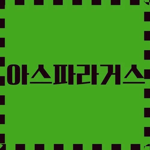 아스파라거스 요리 세계, 섭취 시 주의사항, 혁신적인 용도 등에 대하여 자세히 살펴봅니다.