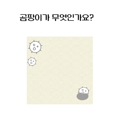 곰팡이-원인-제거-예방-벽지-욕실-베란다