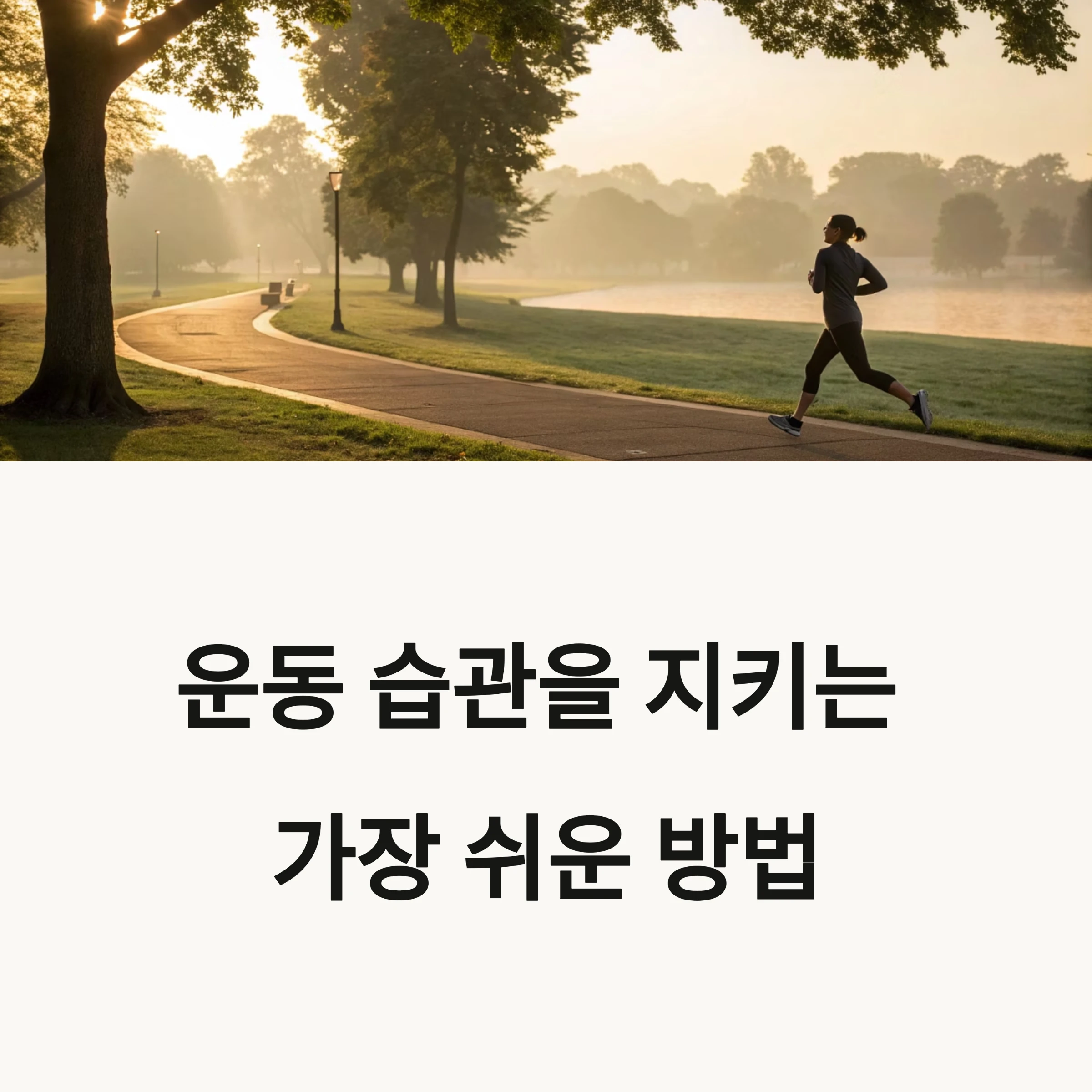운동습관