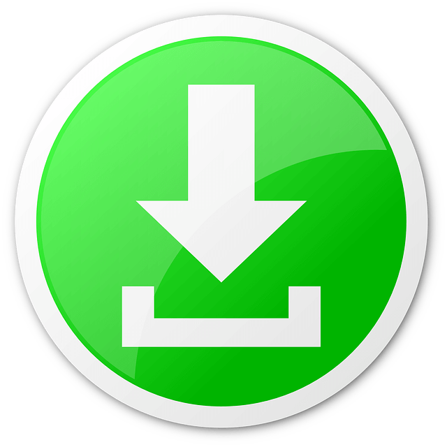 유튜브영상다운로드