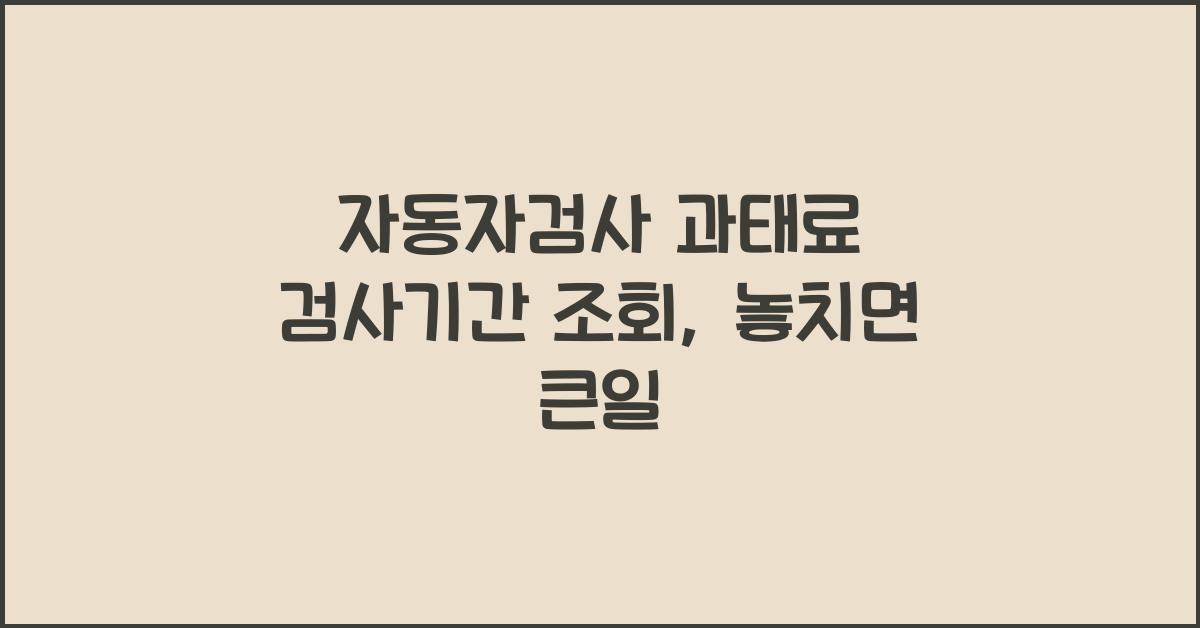자동자검사 과태료 검사기간 조회