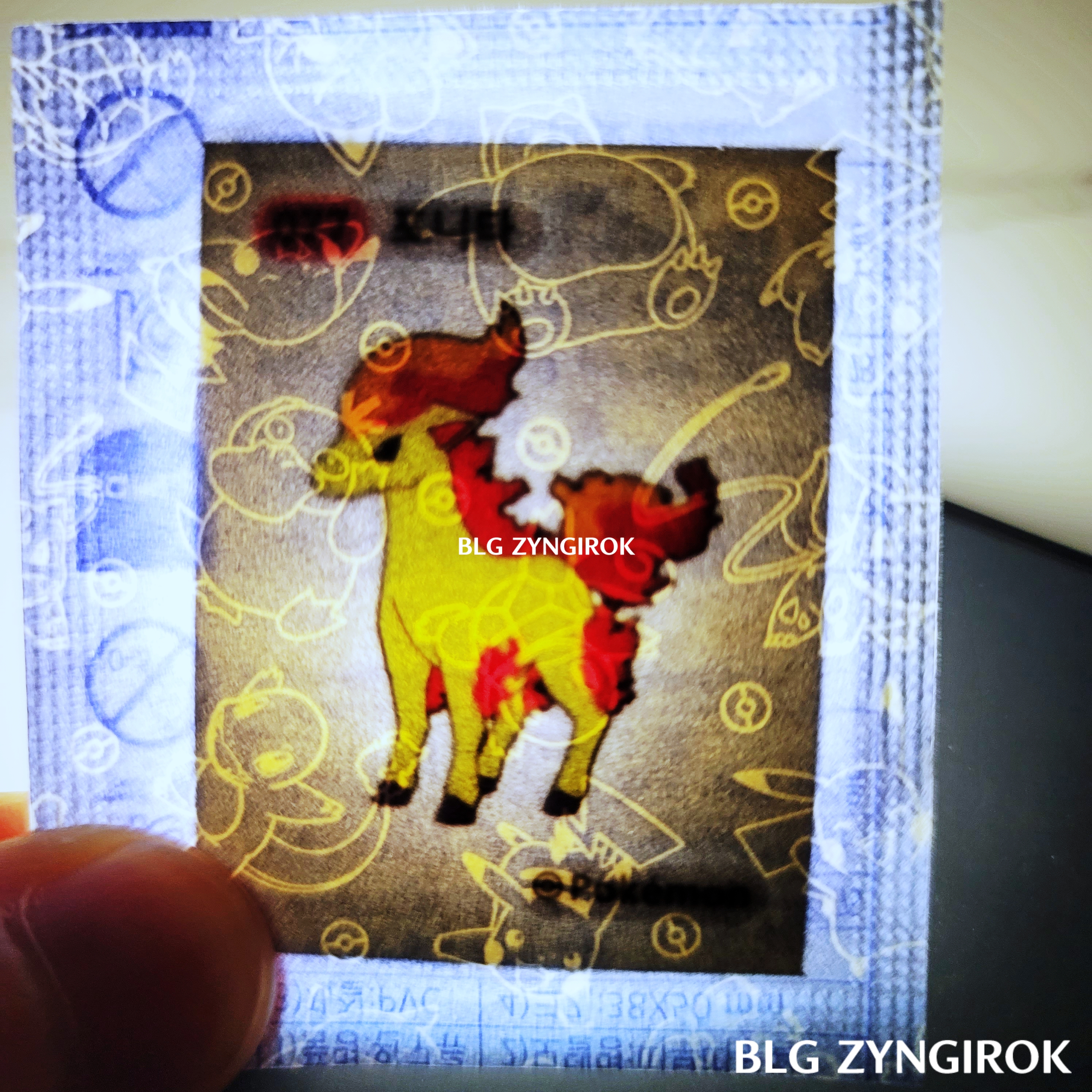 띠부띠부씰-포리타를-들고있다.