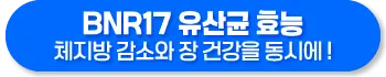 BNR17 유산균 효능