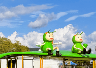 경주 비단벌레차 예약