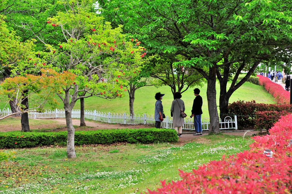 센텀 APEC 나루 공원