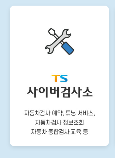 TS 사이버 검사소
