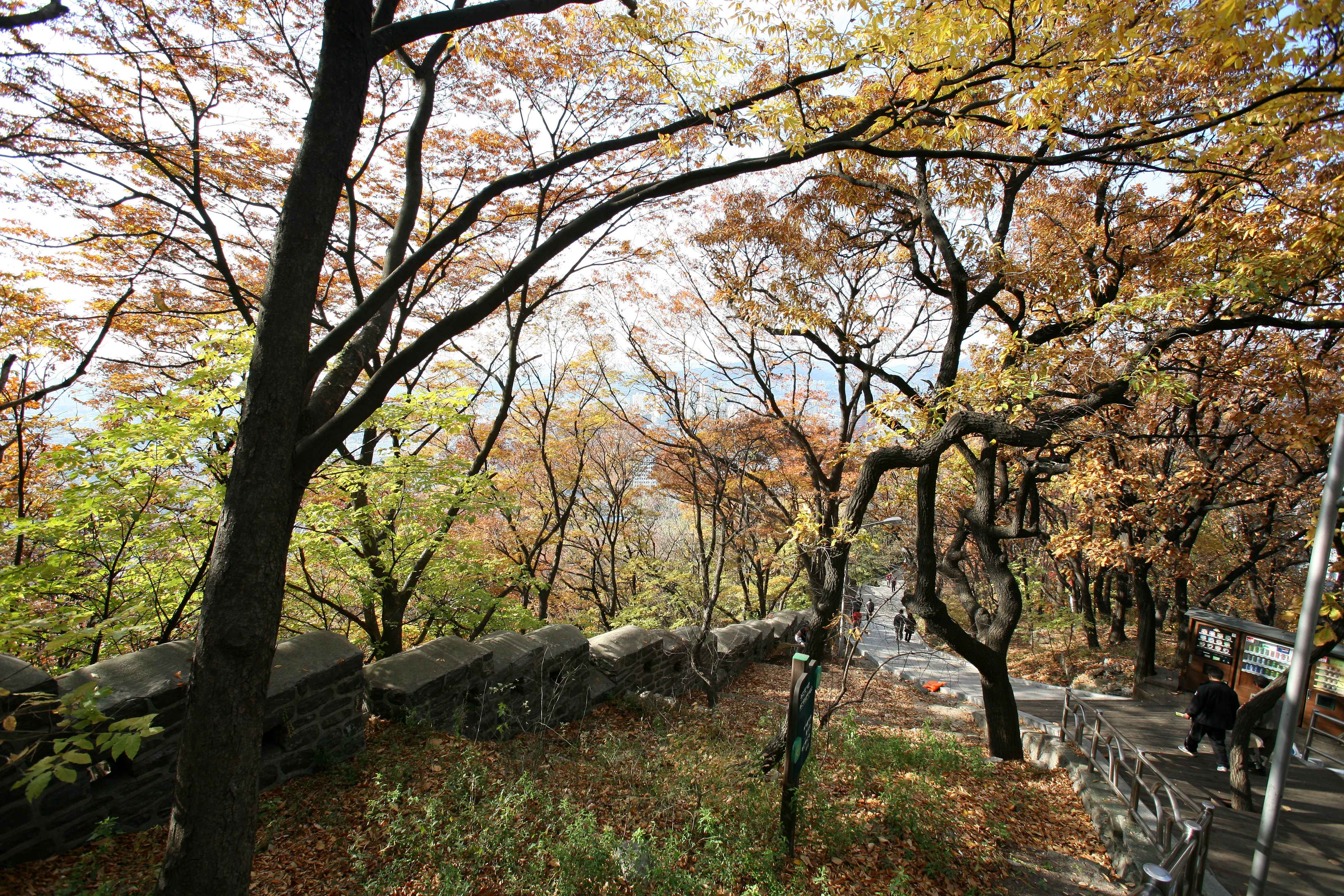 남산공원