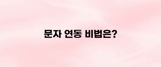 편한 가계부 문자연동｜사용법