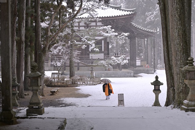고야산의 겨울