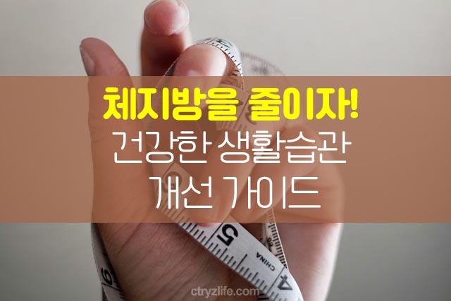 체지방-줄이기-위한-건강한-생활습관-개선-가이드