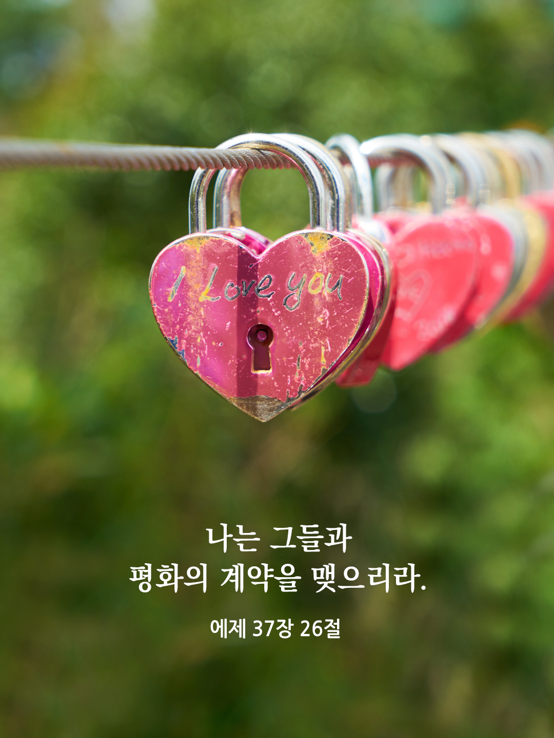 나는 그들과 평화의 계약을 맺으리라. (에제키엘서 37,26)