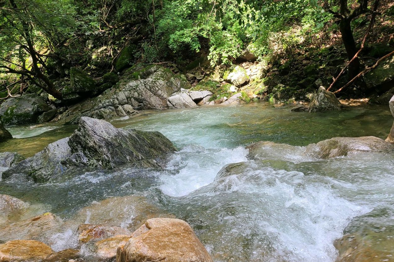 국립유명산자연휴양림