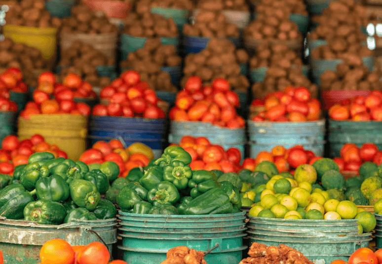 2026 농식품 바우처