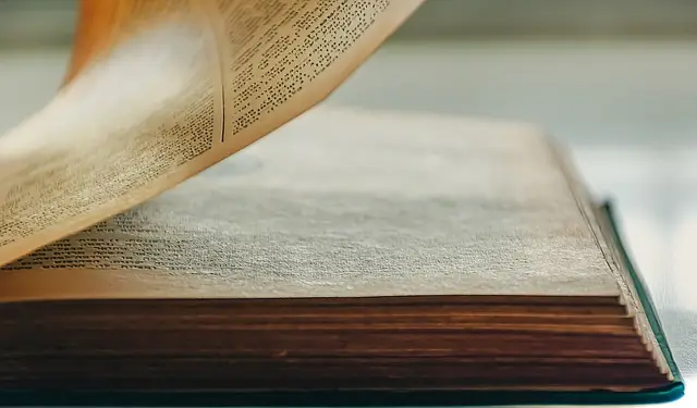 2024년 공인중개사 시험 정답 확인, 가채점 방법