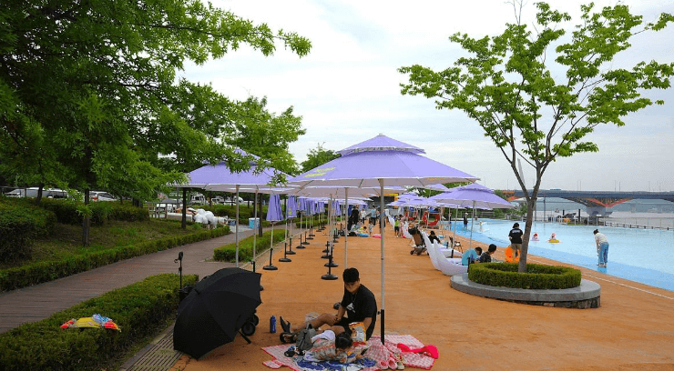 한강 수영장 개장일 및 예매방법 총정리 (+야간개장)