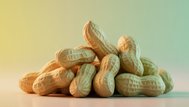땅콩 효능
