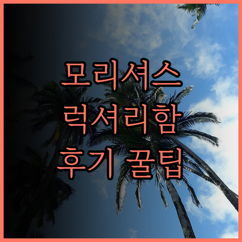 파라다이스 비치코머 골프 리조트 & 
