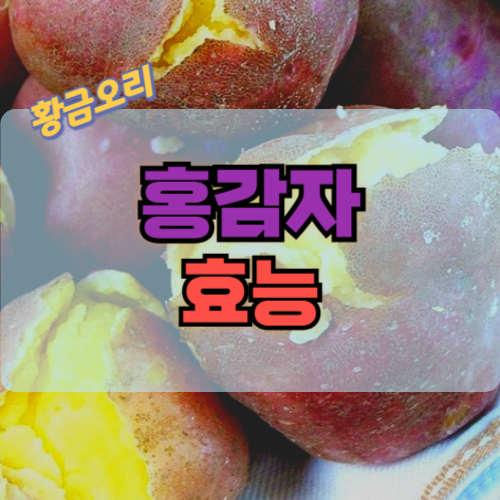 홍감자 효능