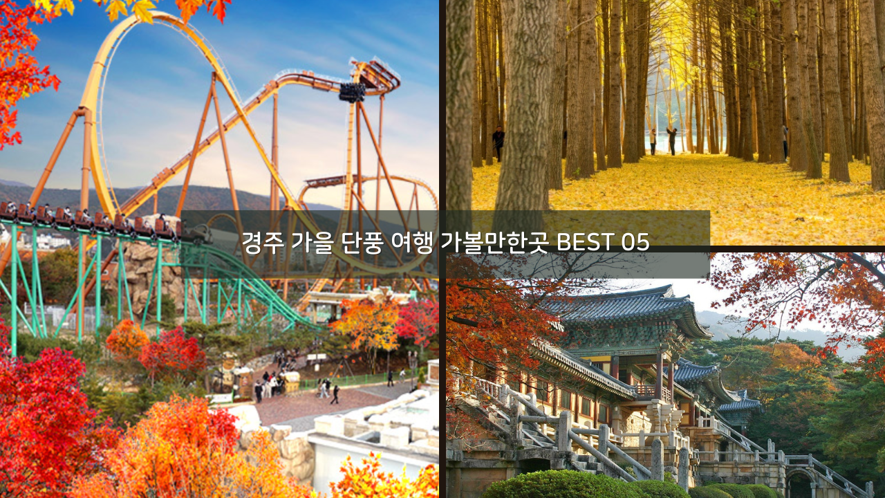 경주 가을 여행 단풍 나들이 가볼만한곳 BEST 05