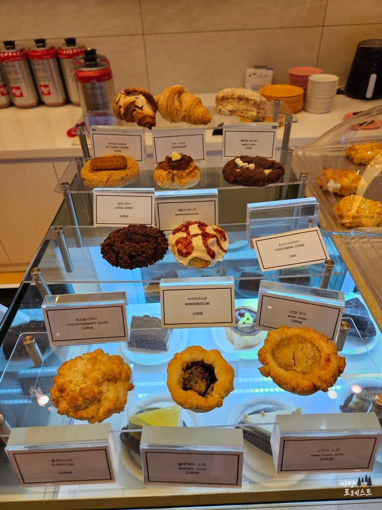 포커스온나우 케이크