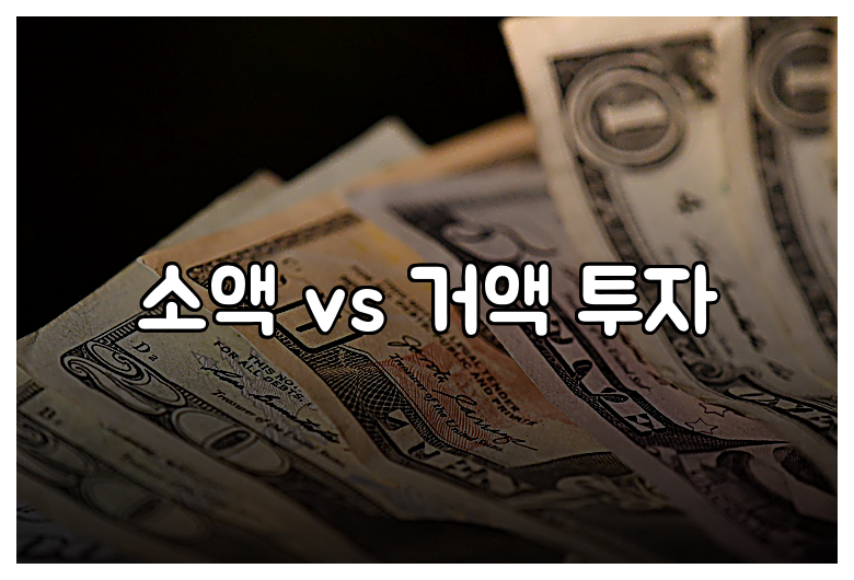 소액 vs 거액 투자