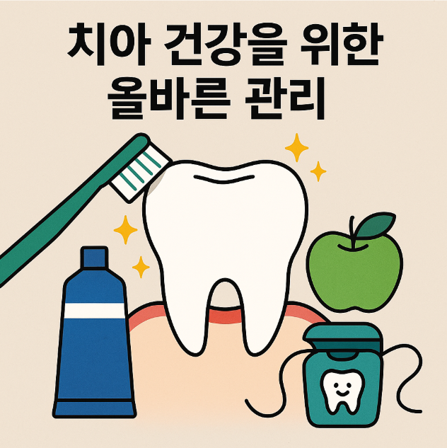 치아 건강과 관련 된 이미지