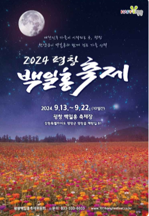 2024 평창 백일홍축제