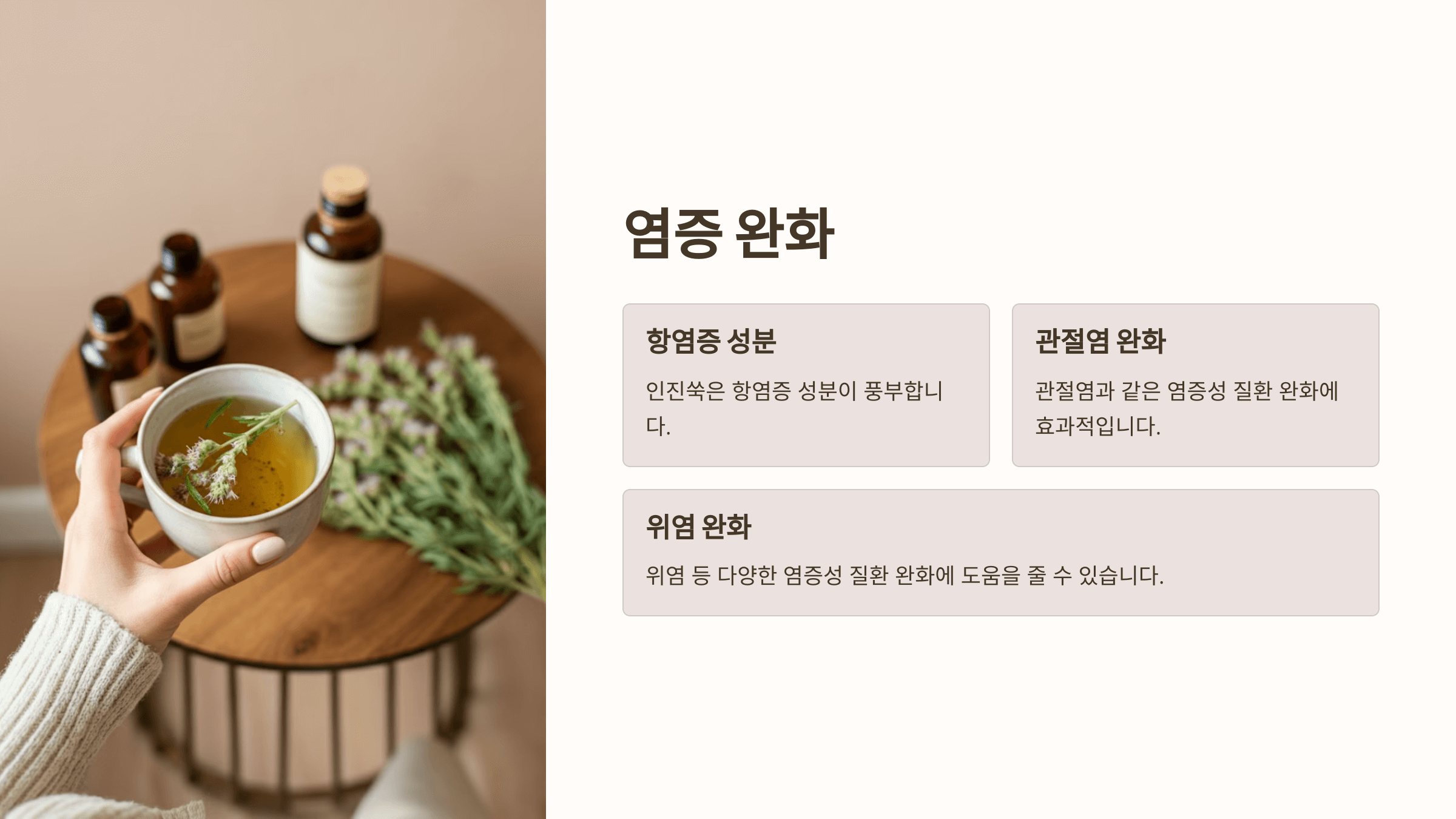 인진쑥 사진입니다.