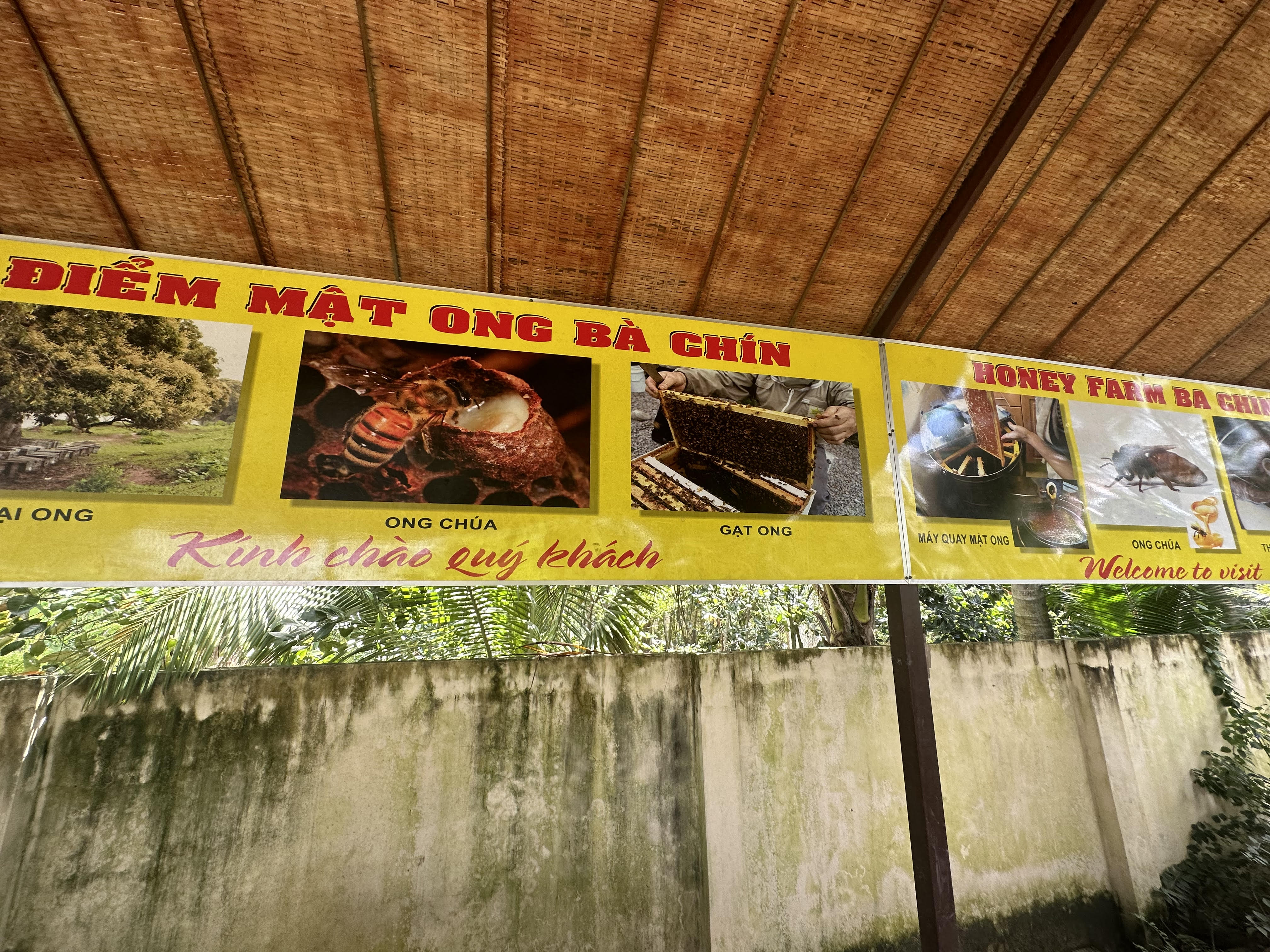 벤쩌(Ben Tre) 벌꿀농장