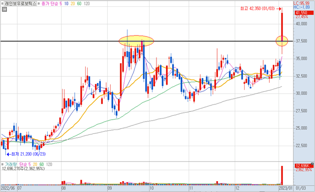 레인보우로보틱스 일봉차트