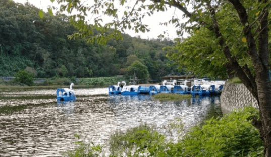 하니랜드-오리배