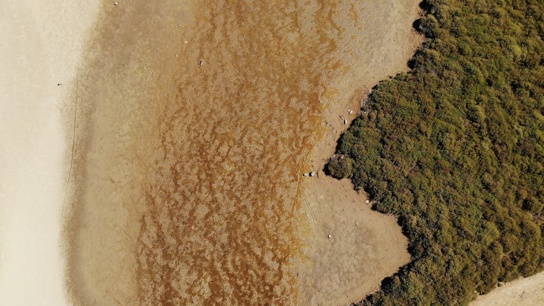Dryness