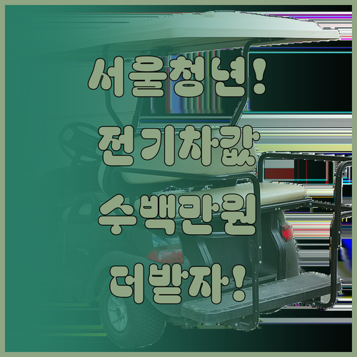 생애 첫 전기차 구매 서울 청년 추가..