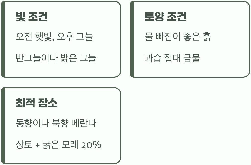 매발톱이 좋아하는 명당자리
