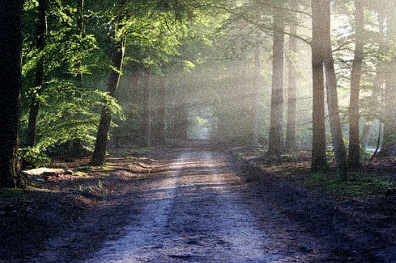 갱년기증상30가지