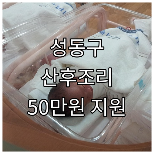 2025년 성동구 산후조리비용 지원:..