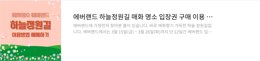 벚꽃 개화시기