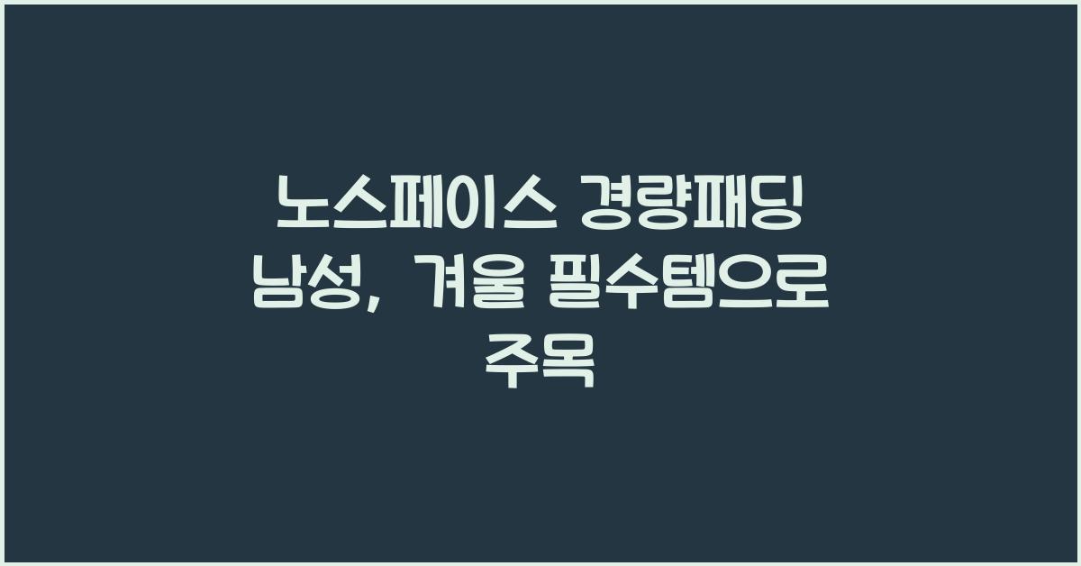노스페이스 경량패딩 남성
