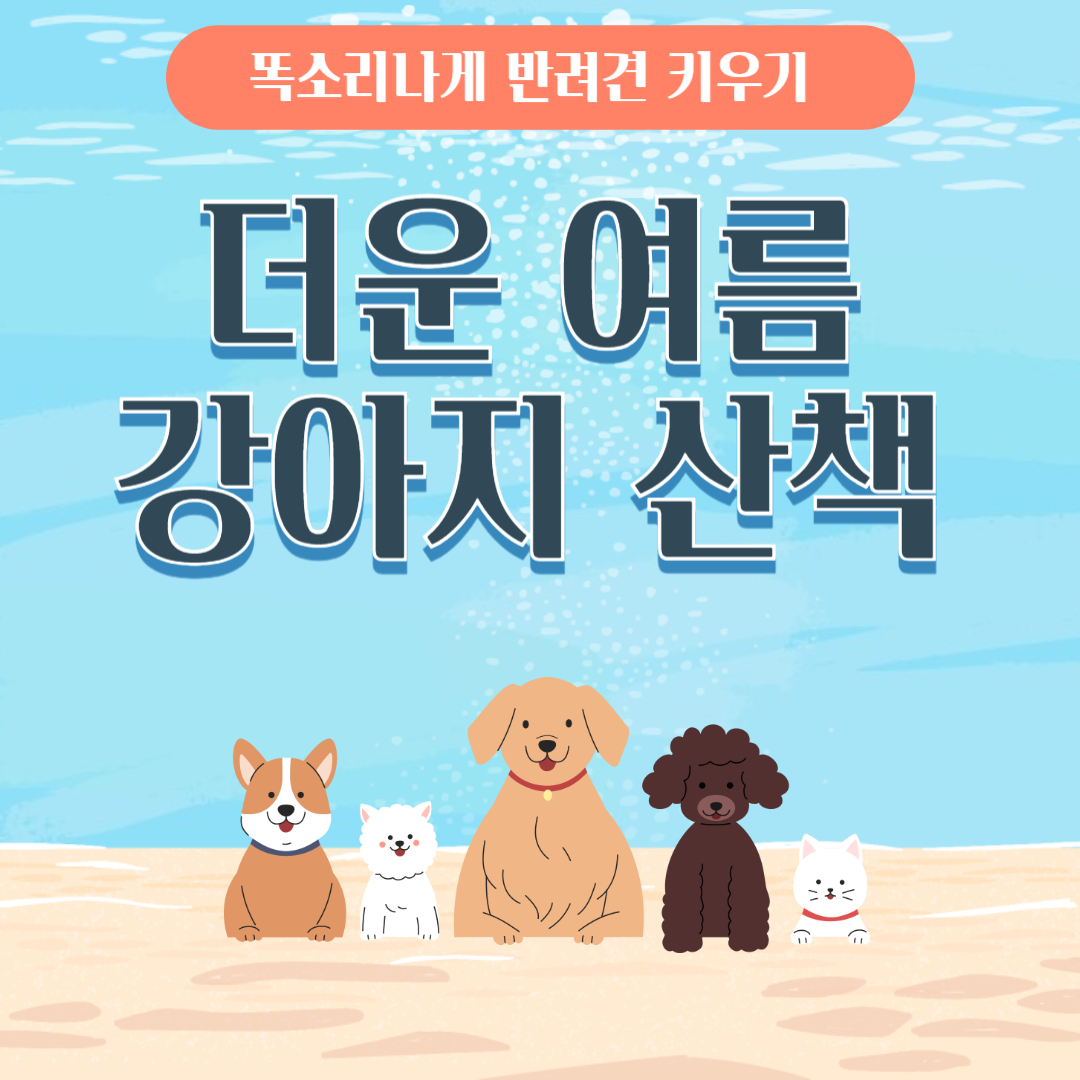 더운 날씨 여름에 강아지와 산책하는 방법