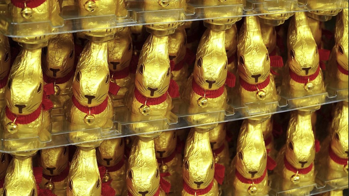  2026년 토끼띠 운세 총정리 (월별&middot;연애운&middot;재물운&middot;직장운)최신