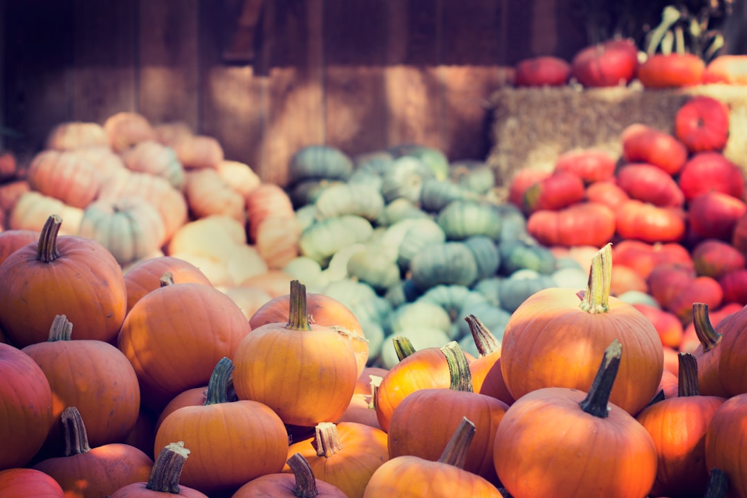 Seasonality